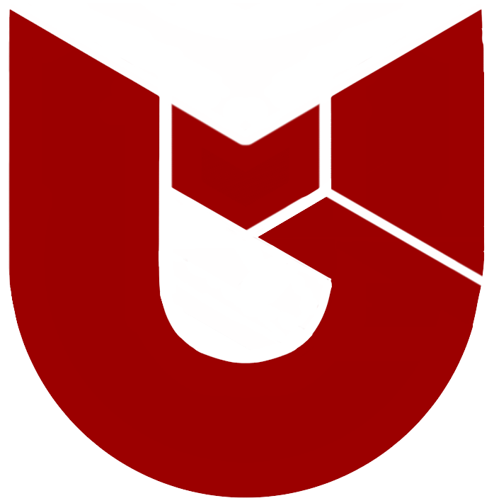 biglogo
